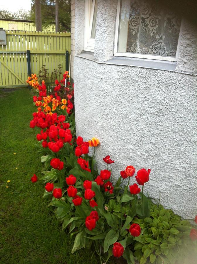 Soliid Apartment Pärnu Dış mekan fotoğraf